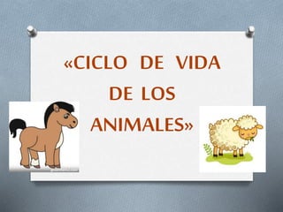«CICLO DE VIDA
DE LOS
ANIMALES»
 