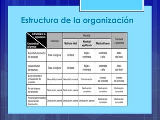 Estructura de la organización

 