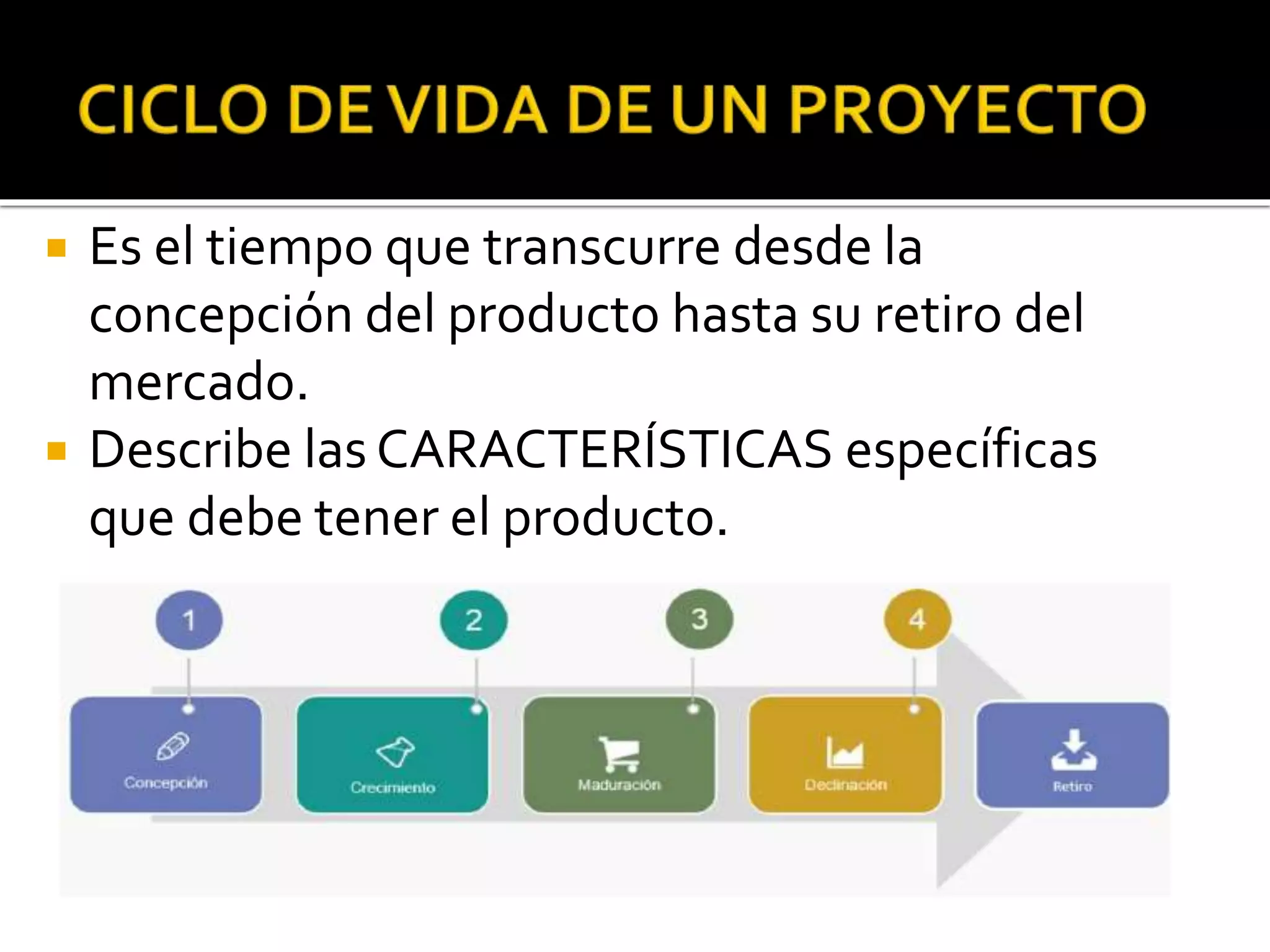 Ciclo de vida de un proyecto | PPT