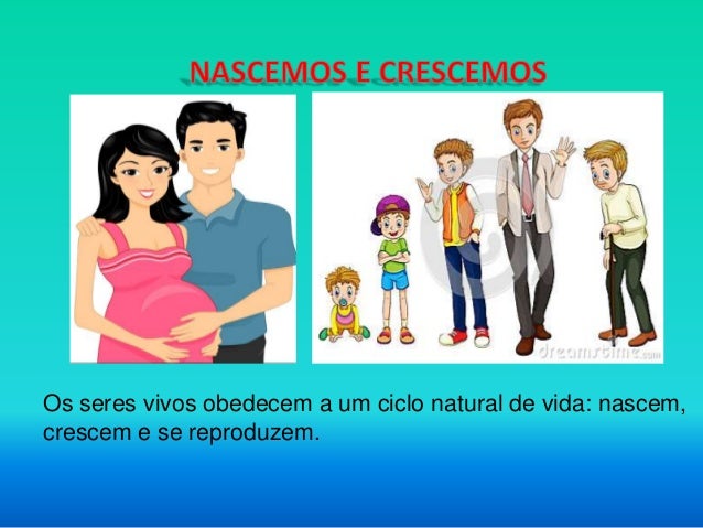Os seres vivos obedecem a um ciclo natural de vida: nascem,
crescem e se reproduzem.