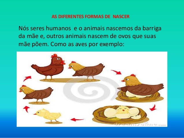 AS DIFERENTES FORMAS DE NASCER
Nós seres humanos e o animais nascemos da barriga
da mãe e, outros animais nascem de ovos q...