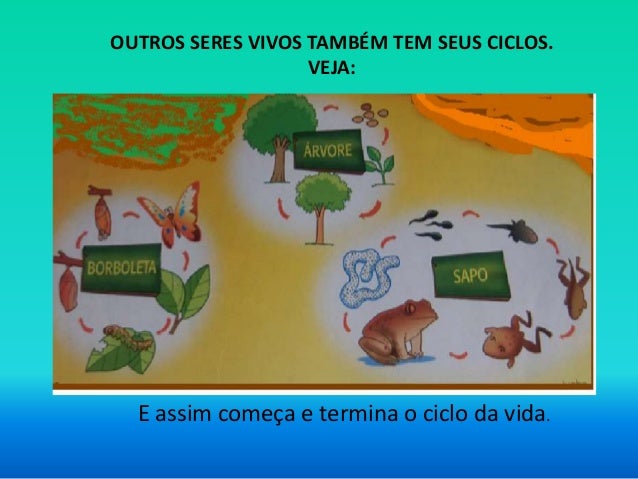 Ciclo de vida dos seres vivos (2)