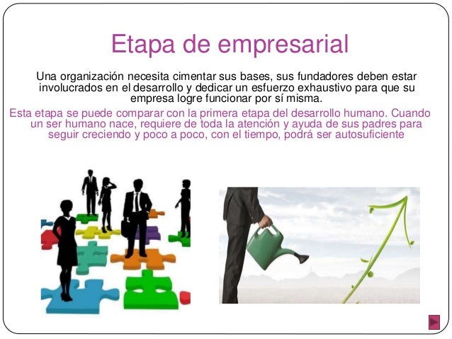 Ciclo de vida organizacional