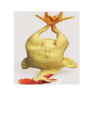 Ciclo de vid de los animalesj