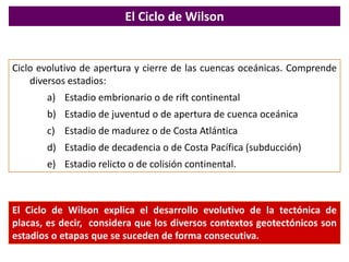 El Ciclo de Wilson Ciclo evolutivo de apertura y cierre de las cuencas oceánicas. Comprende diversos estadios:  Estadio embrionario o de rift continental Estadio de juventud o de apertura de cuenca oceánica Estadio de madurez o de Costa Atlántica Estadio de decadencia o de Costa Pacífica (subducción) Estadio relicto o de colisión continental. El Ciclo de Wilson explica el desarrollo evolutivo de la tectónica de placas, es decir,  considera que los diversos contextos geotectónicos son estadios o etapas que se suceden de forma consecutiva.  