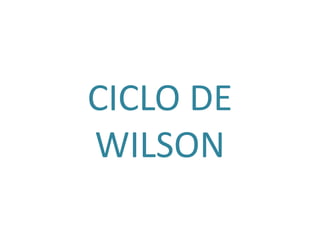 CICLO DE
WILSON
 