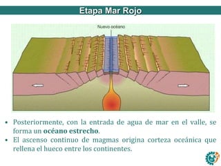 Ley de refracciónEtapa Mar Rojo
• Posteriormente, con la entrada de agua de mar en el valle, se
forma un océano estrecho.
• El ascenso continuo de magmas origina corteza oceánica que
rellena el hueco entre los continentes.
 