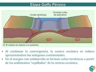 Ley de refracciónEtapa Golfo Pérsico
• Al continuar la convergencia, la cuenca oceánica se reduce
aproximándose los márgenes continentales.
• En el margen con subducción se forman cuñas tectónicas a partir
de los sedimentos “cepillados” de la corteza oceánica.
 
