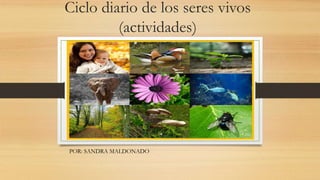 Ciclo diario de los seres vivos
(actividades)
POR: SANDRA MALDONADO
 