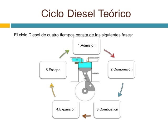 etapas do curso de medicina etapas do curso de medicina