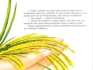 Ciclo do Arroz