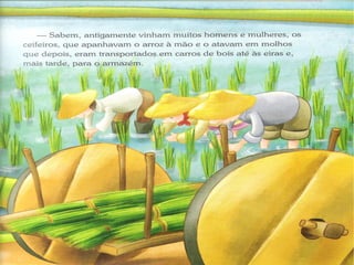 Ciclo do arroz