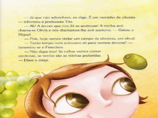 Ciclo do azeite