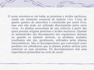 O azoto encontra-se em todas as proteínas e ácidos nucleicos, sendo um elemento essencial da matéria viva. Cerca de quatro quintos da atmosfera é constituída por azoto livre, mas este não pode ser utilizado directamente pelos seres vivos. As plantas necessitam de sais solúveis a partir dos quais possam originar proteínas e ácidos nucleicos. Quando os aminoácidos são decompostos nos organismos animais ou quando os animais morrem, os produtos azotados resultantes não são, geralmente, utilizados pelas plantas fotossintéticas. São os decompositores que convertem esses produtos em substâncias que as plantas podem utilizar para sintetizar as suas proteínas. Os decompositores têm uma importância primordial no ciclo do azoto. 