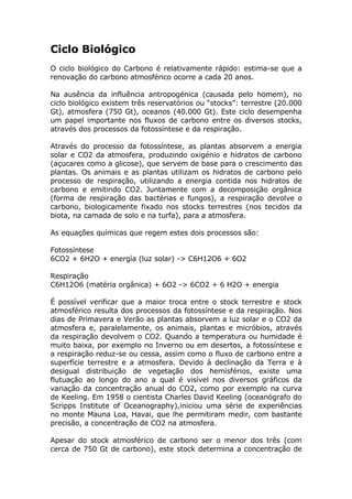 Ciclo Do Carbono