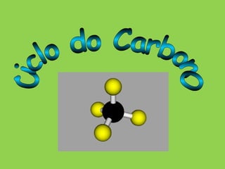 Ciclo do Carbon0 
