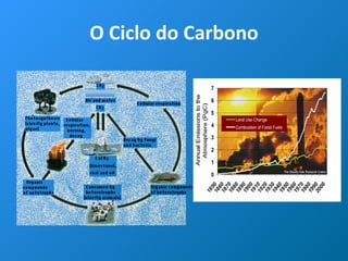 O Ciclo do Carbono 