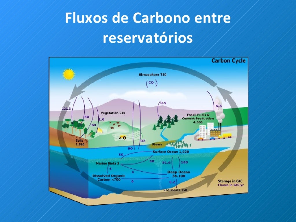 Cefet Mg O Ciclo Do Carbono Envolve Processos