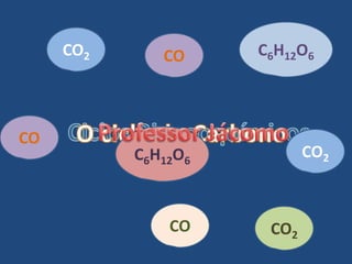 CO2      CO     C6H12O6



CO
           C6H12O6          CO2



               CO     CO2
 