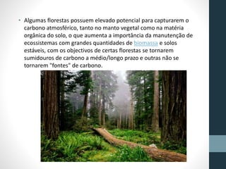 • Algumas florestas possuem elevado potencial para capturarem o 
carbono atmosférico, tanto no manto vegetal como na matéria 
orgânica do solo, o que aumenta a importância da manutenção de 
ecossistemas com grandes quantidades de biomassa e solos 
estáveis, com os objectivos de certas florestas se tornarem 
sumidouros de carbono a médio/longo prazo e outras não se 
tornarem "fontes" de carbono. 
 