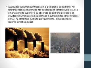 • As atividades humanas influenciam o ciclo global do carbono. Ao 
retirar carbono armazenado nos depósitos de combustíveis fósseis a 
uma taxa muito superior à da absorção do carbono pelo ciclo, as 
atividades humanas estão a potenciar o aumento das concentrações 
de CO2 na atmosfera e, muito provavelmente, influenciando o 
sistema climático global. 
 