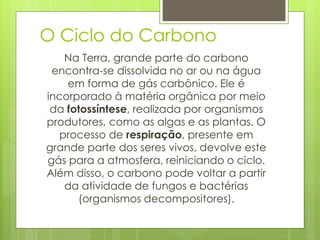 O Ciclo do Carbono
Na Terra, grande parte do carbono
encontra-se dissolvida no ar ou na água
em forma de gás carbônico. Ele é
incorporado à matéria orgânica por meio
da fotossíntese, realizada por organismos
produtores, como as algas e as plantas. O
processo de respiração, presente em
grande parte dos seres vivos, devolve este
gás para a atmosfera, reiniciando o ciclo.
Além disso, o carbono pode voltar a partir
da atividade de fungos e bactérias
(organismos decompositores).
 