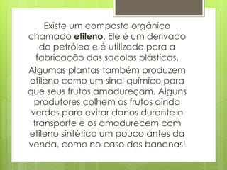 Existe um composto orgânico
chamado etileno. Ele é um derivado
do petróleo e é utilizado para a
fabricação das sacolas plásticas.
Algumas plantas também produzem
etileno como um sinal químico para
que seus frutos amadureçam. Alguns
produtores colhem os frutos ainda
verdes para evitar danos durante o
transporte e os amadurecem com
etileno sintético um pouco antes da
venda, como no caso das bananas!
 