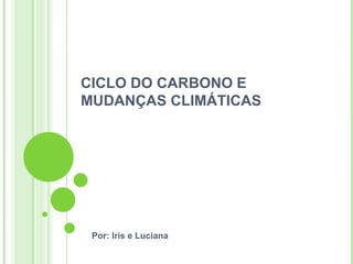 CICLO DO CARBONO E
MUDANÇAS CLIMÁTICAS




 Por: Iris e Luciana
 