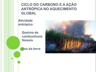 CICLO DO CARBONO E A AÇÃO
 ANTRÓPICA NO AQUECIMENTO
 GLOBAL
Atividade
antrópica

  Queima de
  combustíveis
  fósseis

  Uso da terra
 