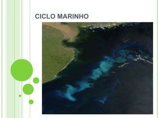 CICLO MARINHO
 
