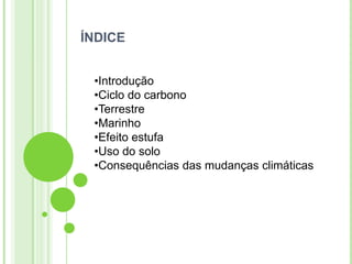ÍNDICE


 •Introdução
 •Ciclo do carbono
 •Terrestre
 •Marinho
 •Efeito estufa
 •Uso do solo
 •Consequências das mudanças climáticas
 