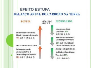 EFEITO ESTUFA
 