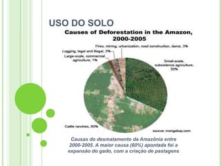 USO DO SOLO




    Causas do desmatamento da Amazônia entre
   2000-2005. A maior causa (60%) apontada foi a
   expansão do gado, com a criação de pastagens
 