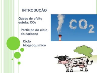 INTRODUÇÃO

Gases de efeito
estufa: CO2

 Participa do ciclo
 do carbono

  Ciclo
  biogeoquímico
 