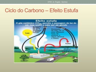 ETEC Jd. Ângela - Quimica 
Ciclo do Carbono – Efeito Estufa 
 