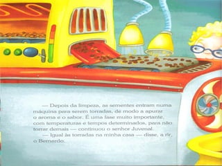 Ciclo do chocolate