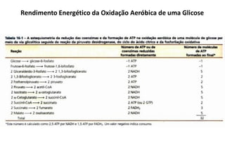 Rendimento Energético da Oxidação Aeróbica de uma Glicose
 