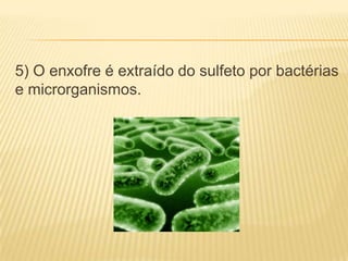5) O enxofre é extraído do sulfeto por bactérias
e microrganismos.
 