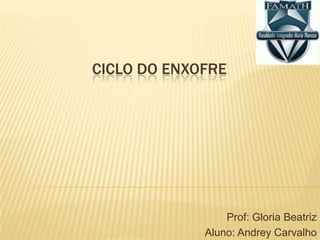 CICLO DO ENXOFRE




                 Prof: Gloria Beatriz
             Aluno: Andrey Carvalho
 