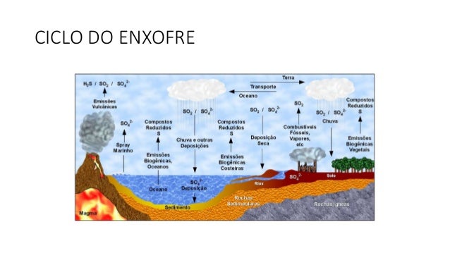 Ciclo do enxofre