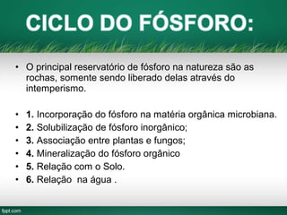 • O principal reservatório de fósforo na natureza são as
rochas, somente sendo liberado delas através do
intemperismo.
• 1. Incorporação do fósforo na matéria orgânica microbiana.
• 2. Solubilização de fósforo inorgânico;
• 3. Associação entre plantas e fungos;
• 4. Mineralização do fósforo orgânico
• 5. Relação com o Solo.
• 6. Relação na água .
 