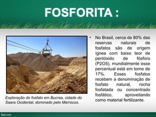 • No Brasil, cerca de 80% das
reservas naturais de
fosfatos são de origem
ígnea com baixo teor de
pentóxido de fósforo
(P2O5), mundialmente esse
percentual está em torno de
17%. Esses fosfatos
recebem a denominação de
fosfato natural, rocha
fosfatada ou concentrado
fosfático, aproveitando
como material fertilizante.
Exploração do fosfato em Bucraa, cidade do
Saara Ocidental, dominado pelo Marrocos.
 