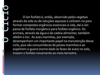 O Ciclo

O íon fosfato é, então, absorvido pelos vegetais
através do solo ou de soluções aquosas e utilizam-no para
formar compostos orgânicos essenciais à vida, daí o íon
passa de fosfato inorgânico para fosfato orgânico. Os
animais, através da água e da cadeia alimentar, também
obtêm o íon. As aves marinhas, por exemplo,
desempenham um importante papel na manutenção desse
ciclo, pois são consumidoras de peixes marinhos e ao
expelirem o guano (nome dado às fezes de aves) no solo,
trazem o fosfato novamente ao meio terrestre.

 