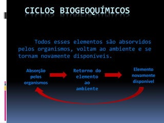 CICLOS BIOGEOQUÍMICOS

Todos esses elementos são absorvidos
pelos organismos, voltam ao ambiente e se
tornam novamente disponíveis.
Absorção
pelos
organismos

Retorno do
elemento
ao
ambiente

Elemento
novamente
disponível

 