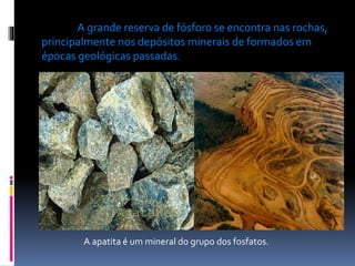 A grande reserva de fósforo se encontra nas rochas,
principalmente nos depósitos minerais de formados em
épocas geológicas passadas.

A apatita é um mineral do grupo dos fosfatos.

 