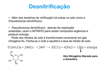 Desnitrificação
• Além das bactérias de nitrificação há outras no solo como a
Pseudomonas denitrificans.
• Pseudomonas denitrificans: através da respiração
anaeróbia, usam o NITRATO para oxidar compostos orgânicos e
produzir energia.
Parte dos nitratos do solo é transformada novamente em gás
nitrogênio N2. Fecha-se o ciclo e equilibra a taxa de nitrato do solo.

Gás Nitrogênio liberado para
a atmosfera

 