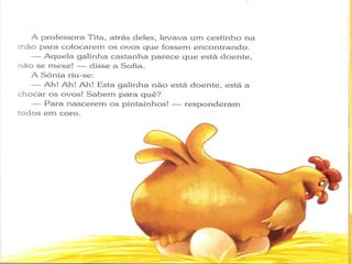 Ciclo do Ovo