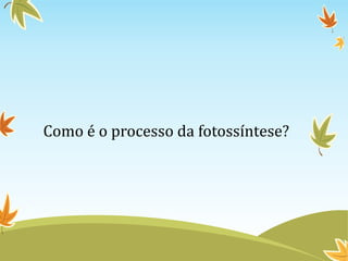 Como é o processo da fotossíntese?

 
