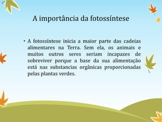 A importância da fotossíntese
• A fotossíntese inicia a maior parte das cadeias
alimentares na Terra. Sem ela, os animais e
muitos outros seres seriam incapazes de
sobreviver porque a base da sua alimentação
está nas substancias orgânicas proporcionadas
pelas plantas verdes.

 