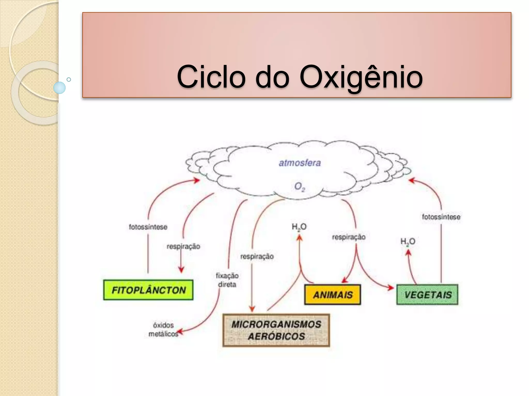 Ciclo Do Oxigenio Ciclos Biogeoquímicos | Ecologia | Biologia